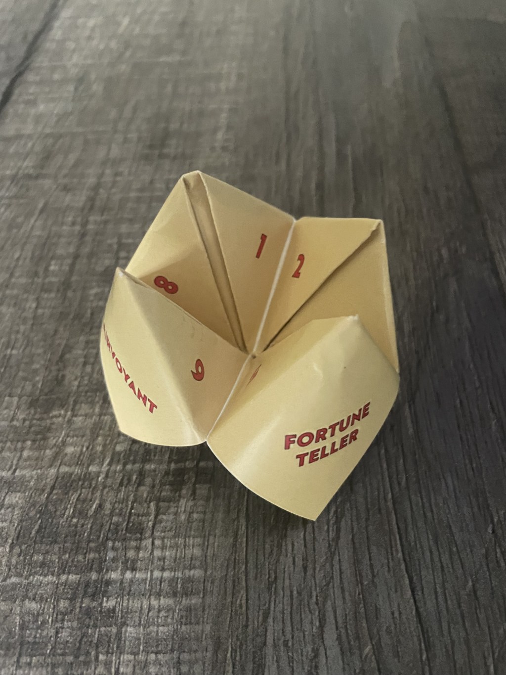 Fortune Cookie Experimental Book 